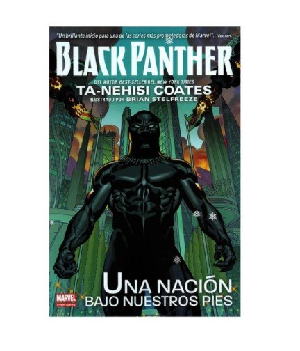 Black panther (una nación bajo nuestros pies)