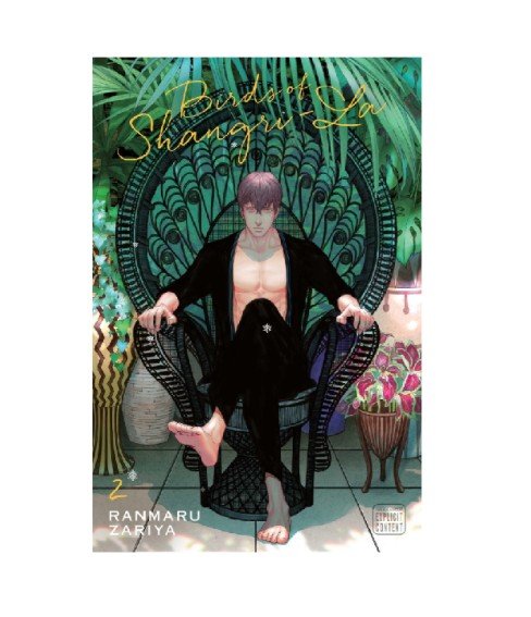 Pájaros de shangri-la vol.2